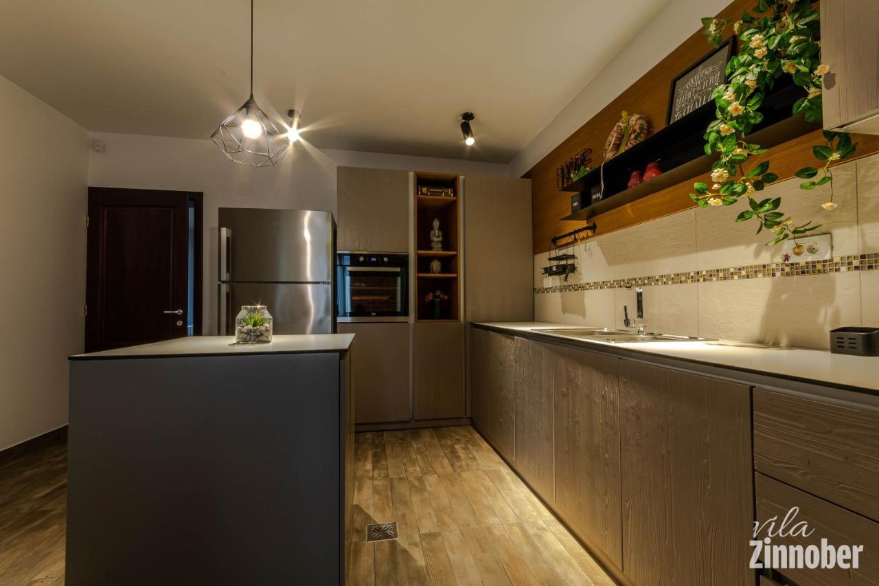 Vila Zinnober براشوف المظهر الخارجي الصورة